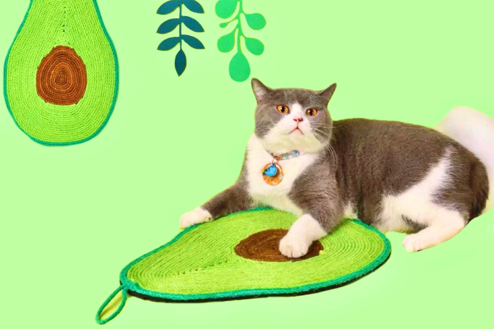 A Guide to Finding the Right Cat Scratchers