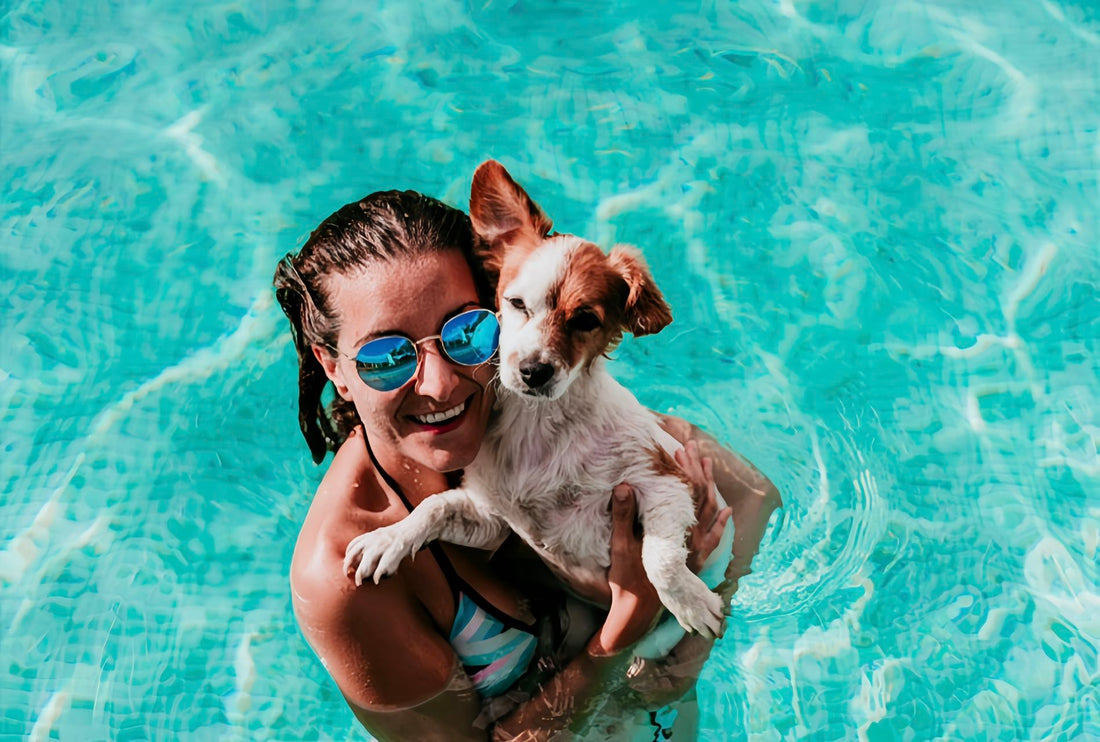 Summer Heat Safety Tips For Pet Owners!!