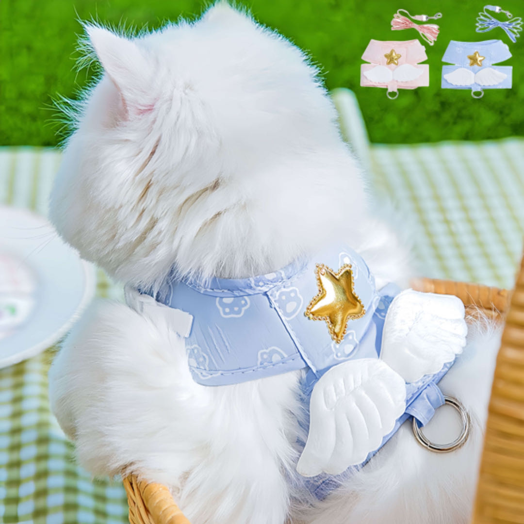 A White Cat Wears A Blue Colour Angel Wing Style Cat Harness And Leash