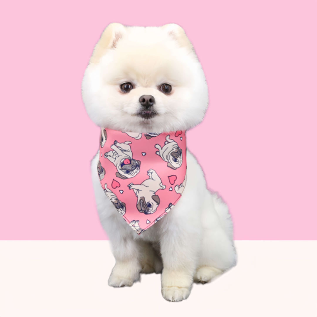 A small white dog wears a blue cartoon puppy print dog triangle bandana sitting in front of a pink and white background