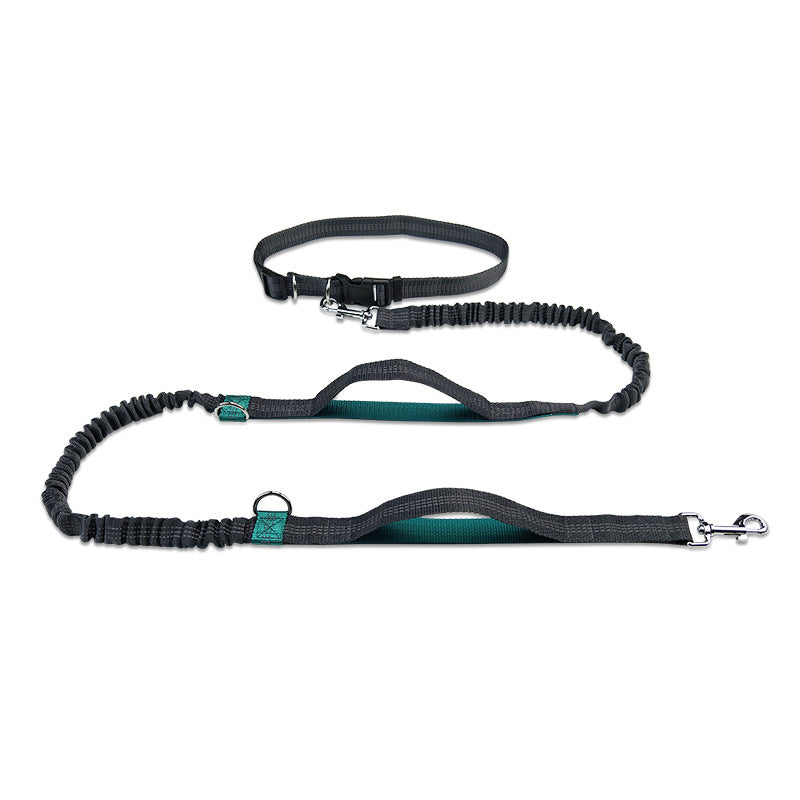 An aqua green hands free dog waist leash