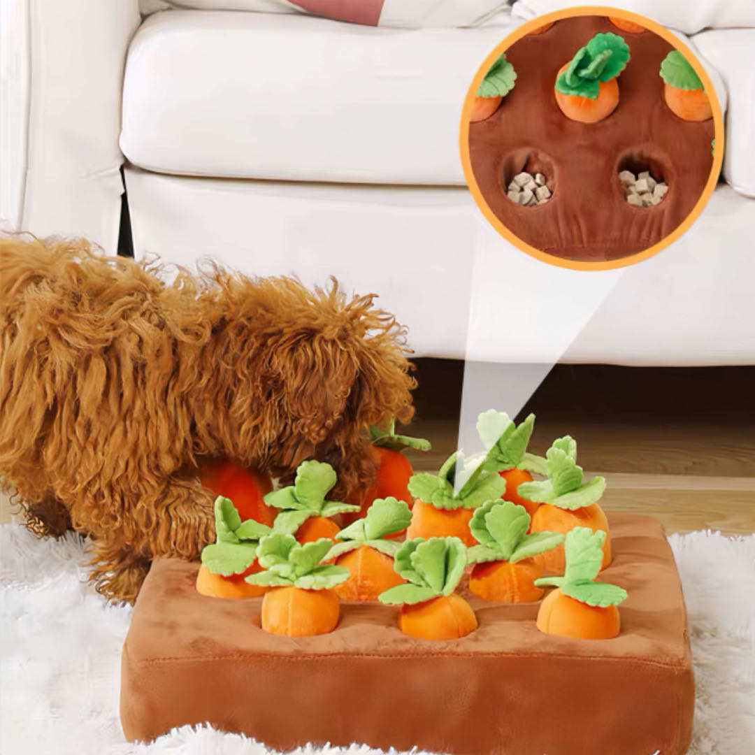 Carrot Pet Chew Toy Dog Snuffle Rug Orange Colour For Dogs And Cats petvibez