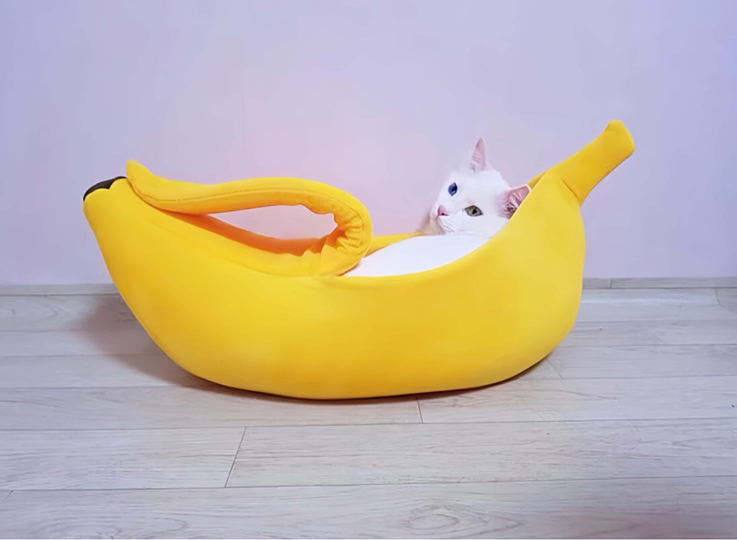 A White Cat Sleeping In A Yellow Colour Banana Shape Cat Nest 