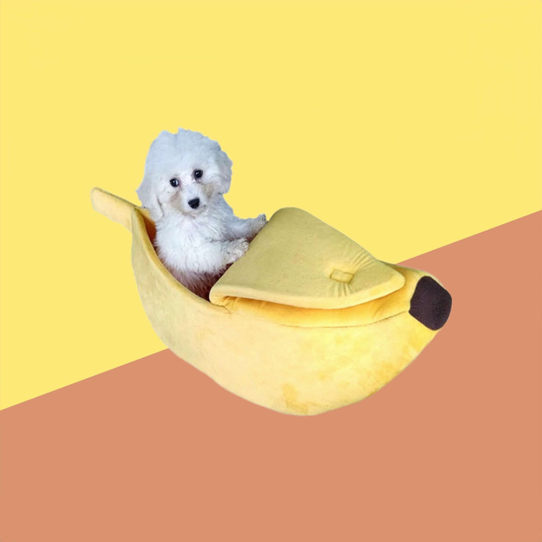 A White Dog Sleeping In A Yellow Colour Banana Shape Cat Nest