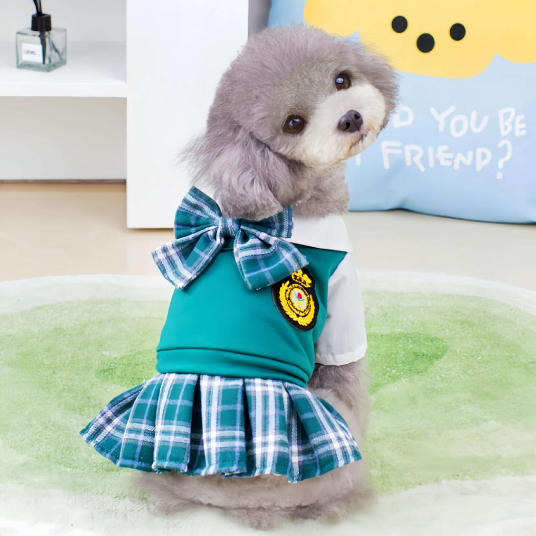 A puppy dog wears a green pet dress with academy style