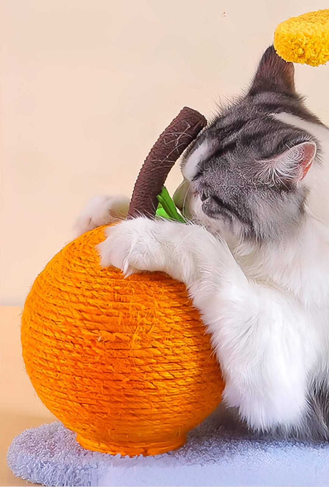 Colourful Cat Climbing Frame With Scratching Ball petvibez