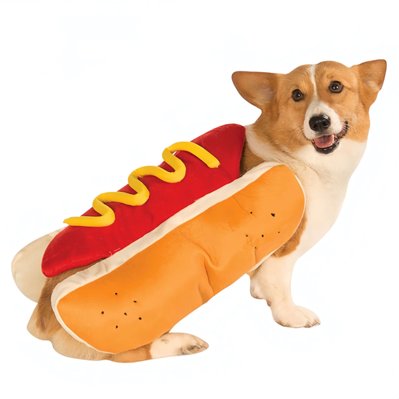 A corgi dog wears a hot dog styled pet costume petvibez 