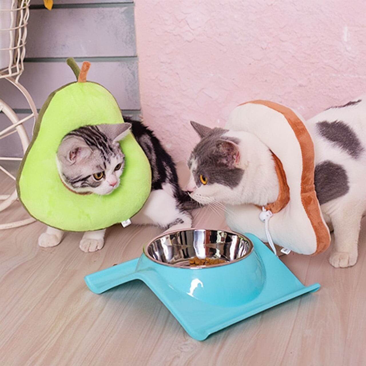 Cat headgear anti-licking elizabeth adjustable collar avocado and bread style petvibez