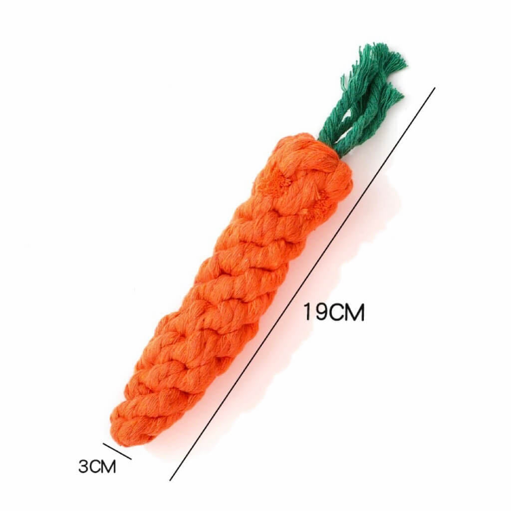 A Carrot Shaped Dog Chewing Toy