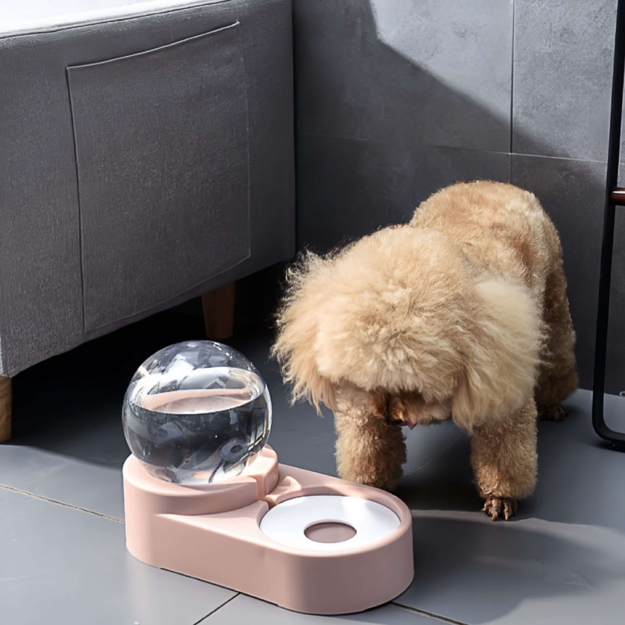 A Poodle Dog Drinks Water From  An Pink Colour Auto Refill Dual Pet Water Feeder With Steel Food Bowl