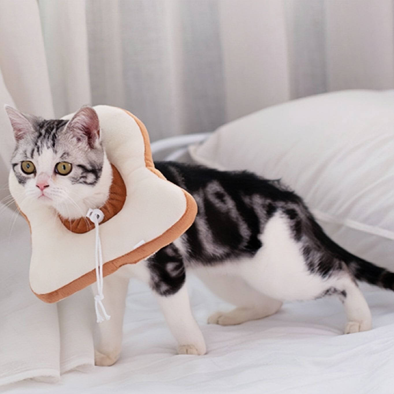 Pet headgear anti-licking elizabeth adjustable collar bread style petvibez