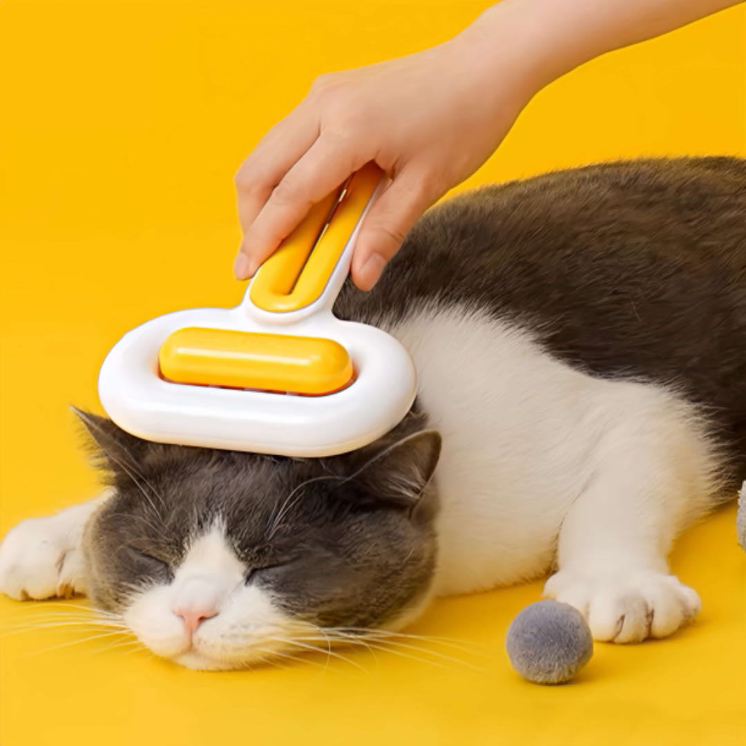 Brushing a cat's hair with one yellow pet brush petvibez