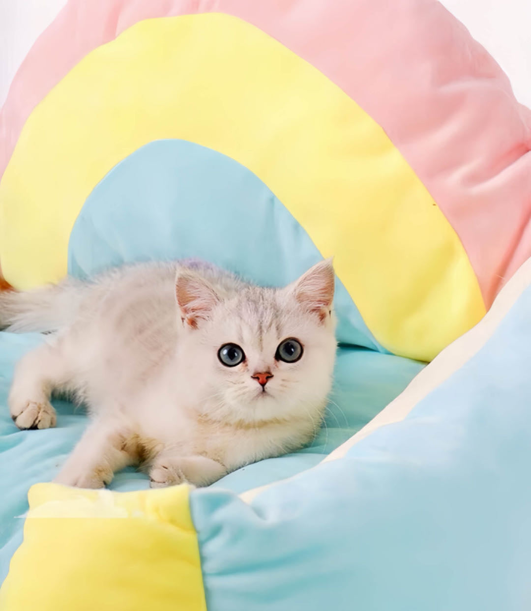 A cat is lying in a rainbow colour cat sofa