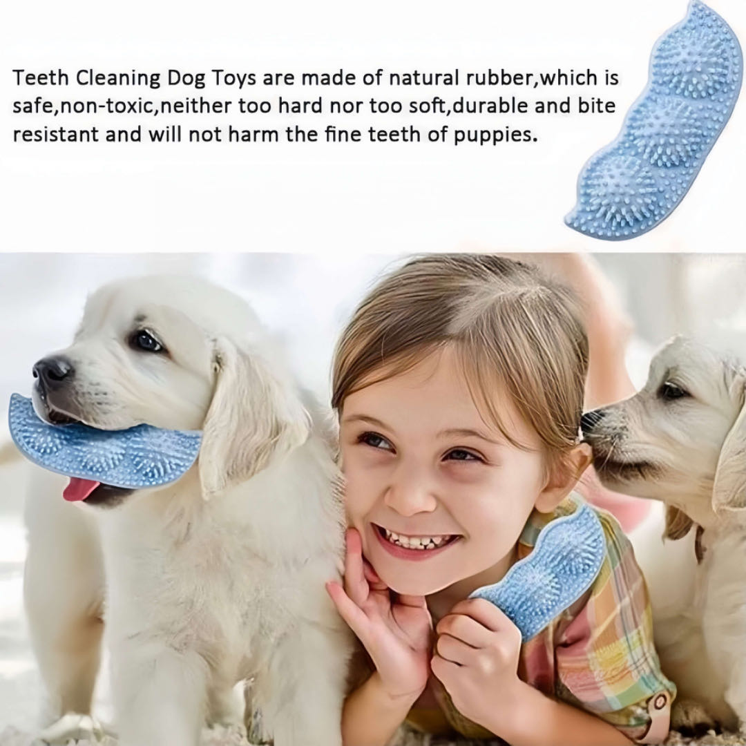 Dog Teeth Chewing Toy PetVibez