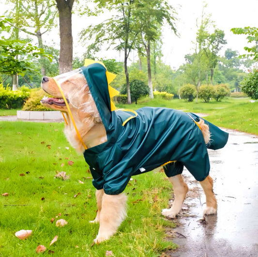 A Large Dog Wears A Raincoat With Dinosaur Style petvibez