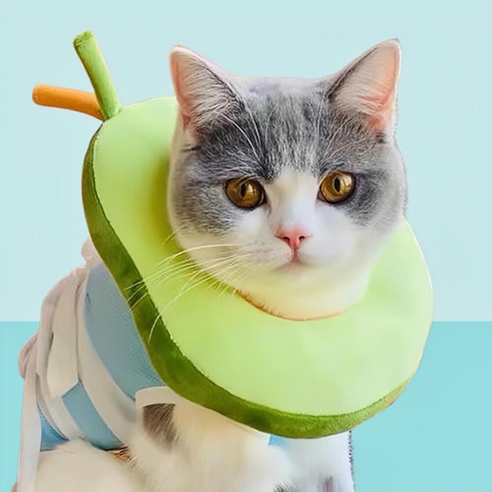 Pet headgear anti-licking elizabeth adjustable collar avocado shape petvibez