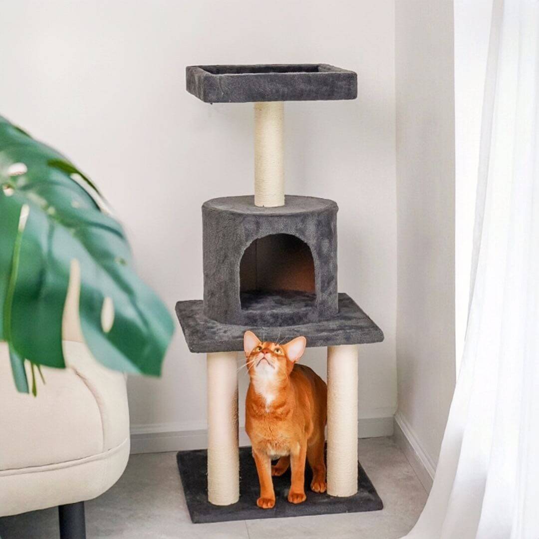 grey colour cat climbing tree with scratching posts petvibez