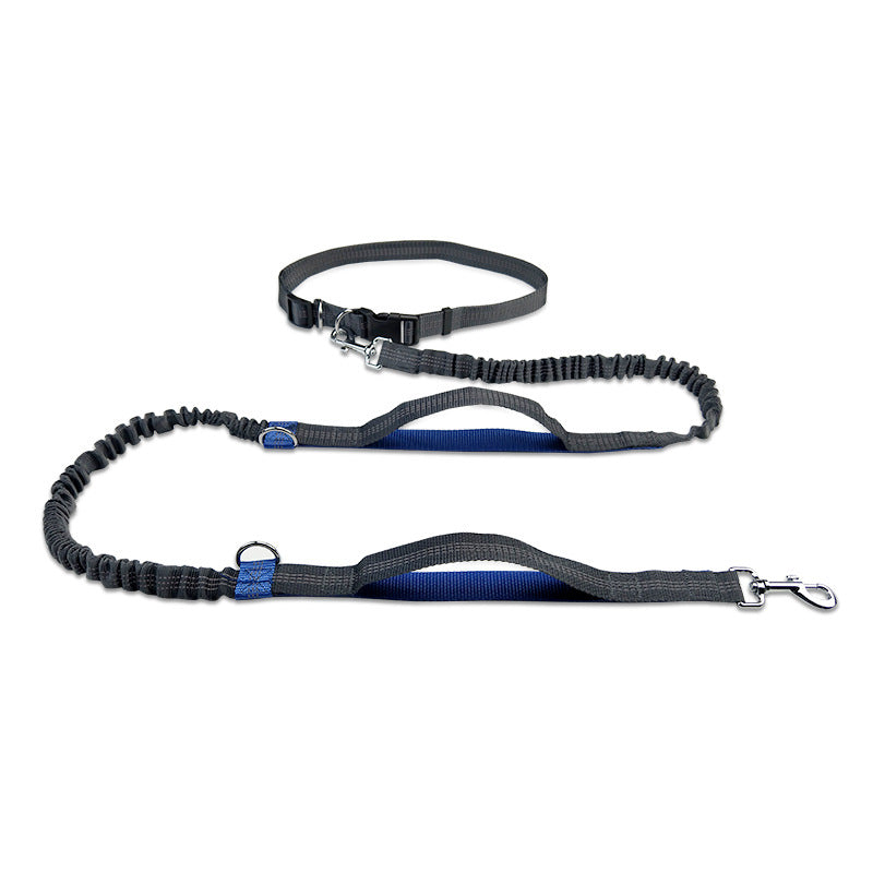 A blue hands free dog waist leash