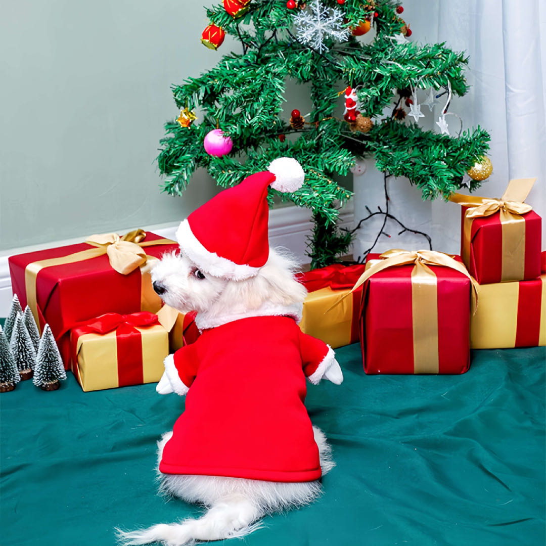 Christmas Pet Standing Costume Dog Cat Clothes