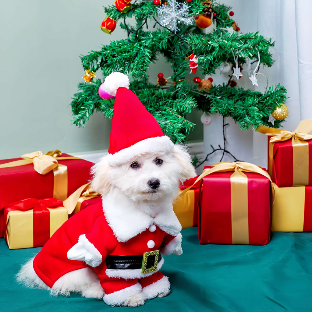 Christmas Pet Standing Costume Dog Cat Clothes