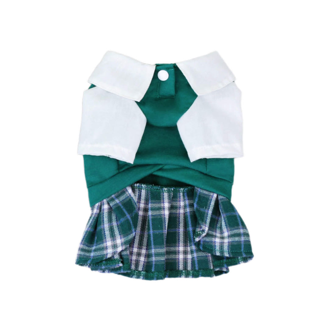 A Back Side Of A Green Pet Dress With Academy Style