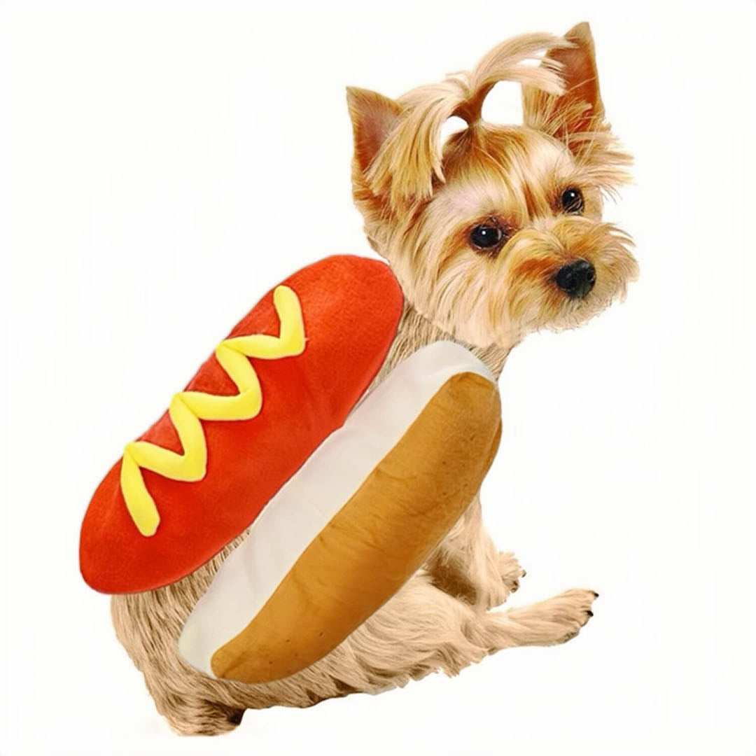 A dog wears a hot dog styled pet costume petvibez