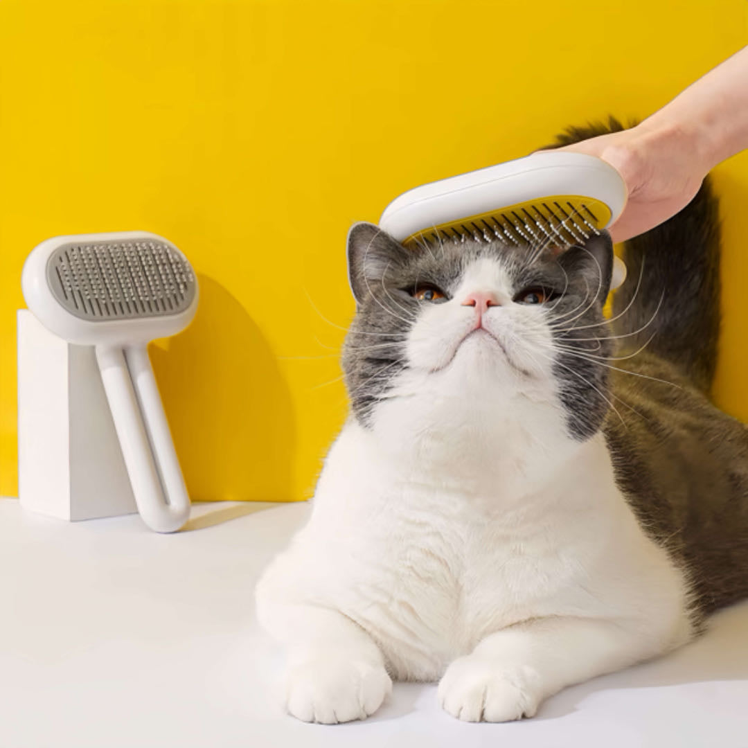 A cat with two pet brushes petvibez