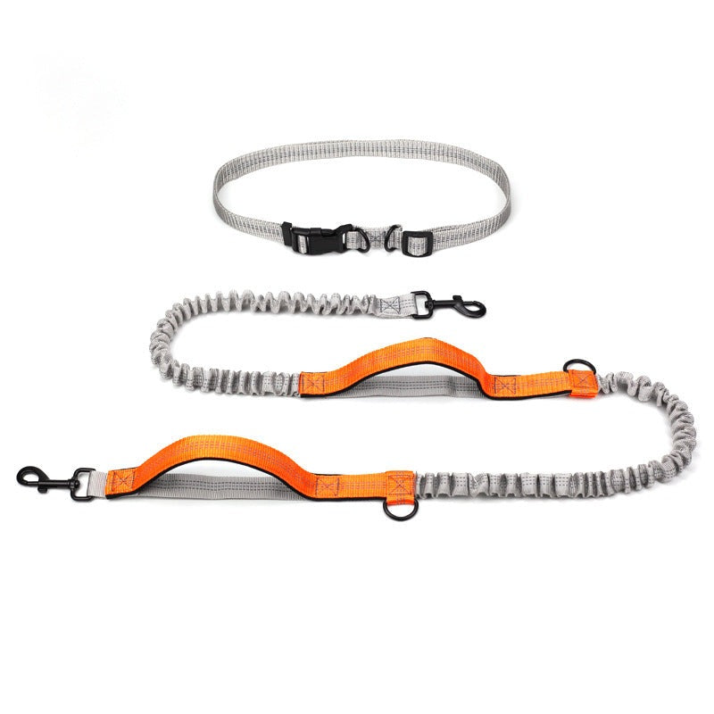 Hands free dog waist leash Orange petvibez