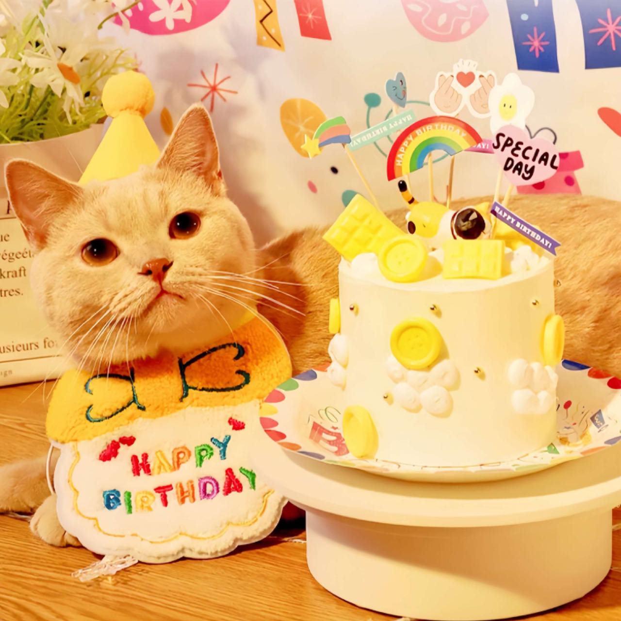 A cat celebrates birthday with a pink hat and pet bib