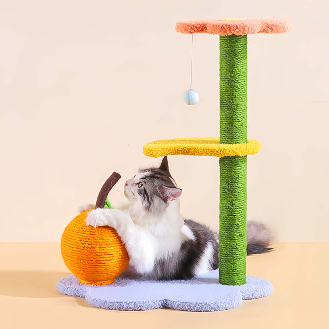 Colourful Cat Climbing Frame With Scratching Post petvibez