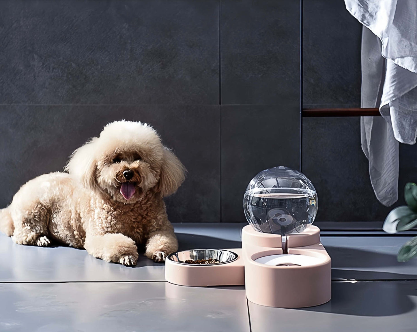 A Poodle Dog Sitting Beside An Blue Colour Auto Refill Dual Pet Water Feeder With Steel Food Bowl