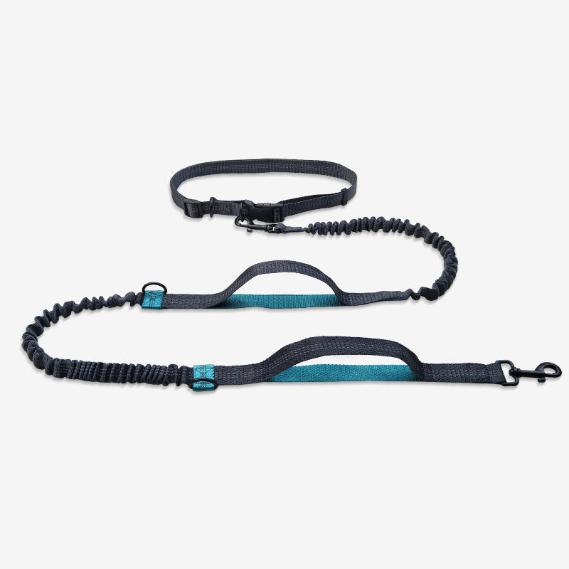 Hands free dog waist leash D Aqua green petvibez