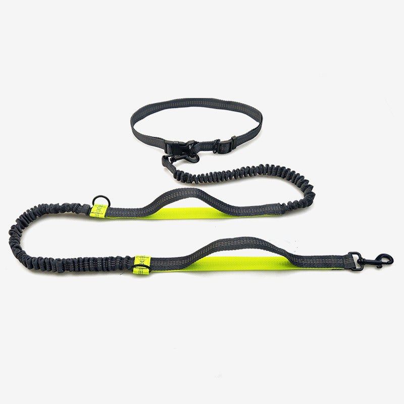 A fluorescent green colour hands free dog waist leash