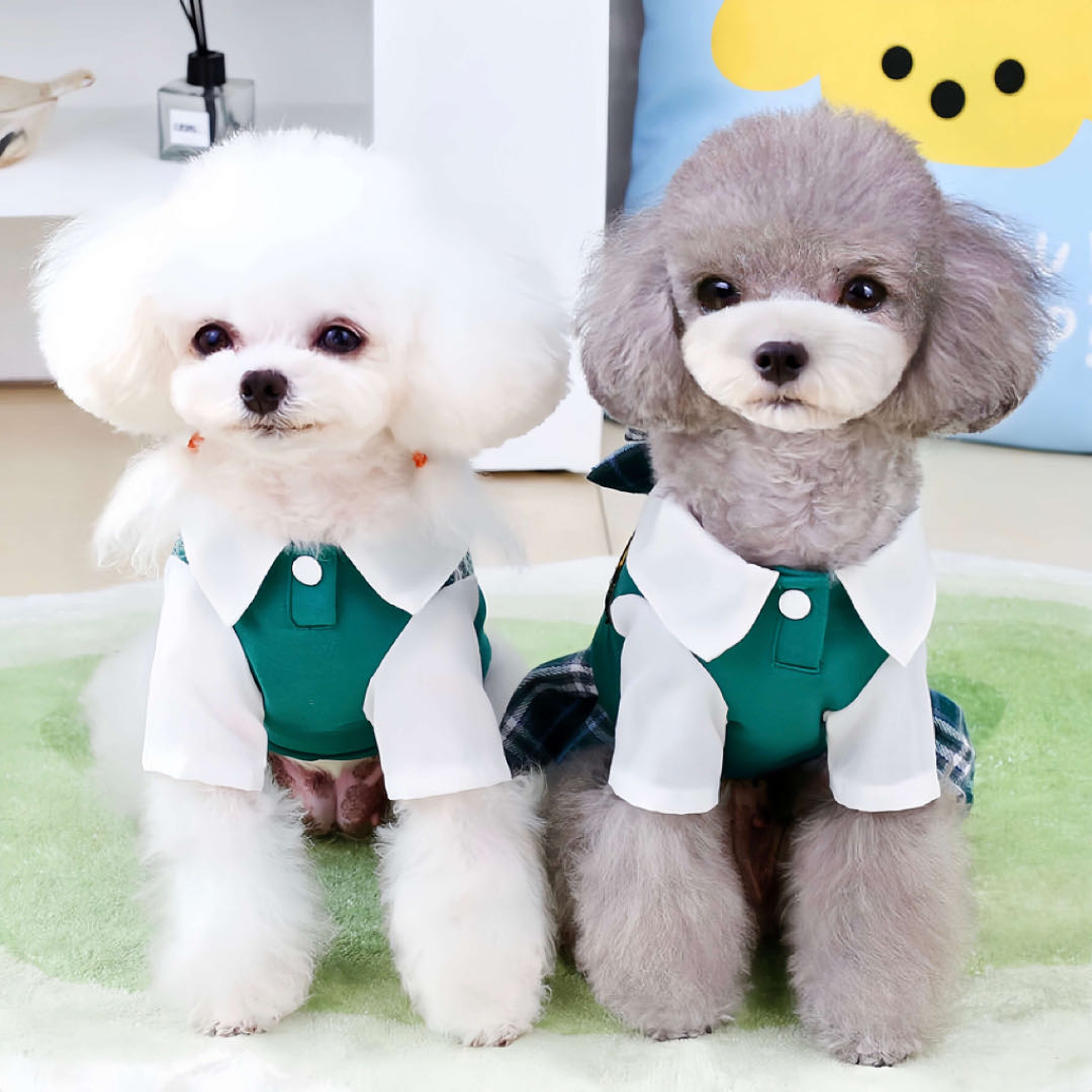 Two puppy dogs wear green pet dress with academy style