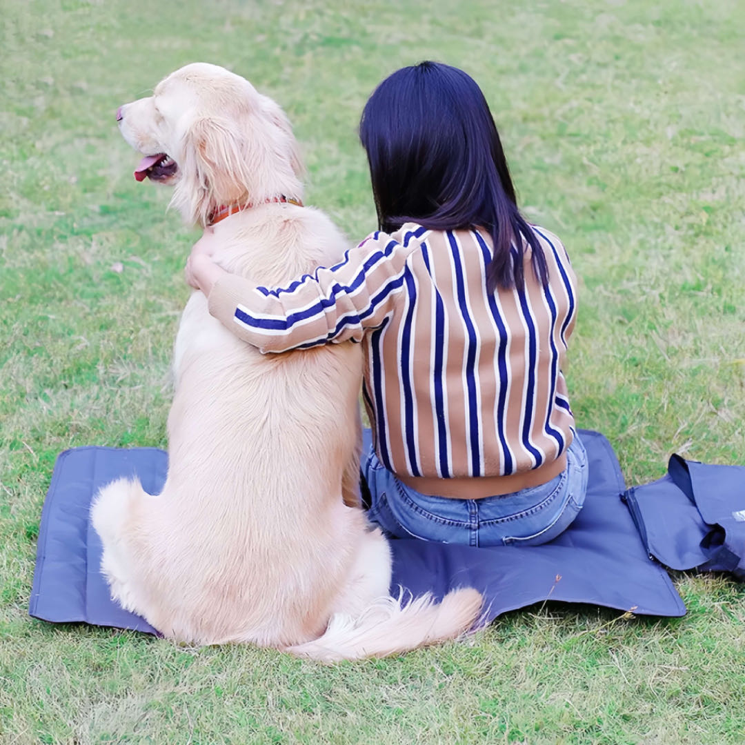 Portable Pet Blanket With Folding Storage Bag  petvibez