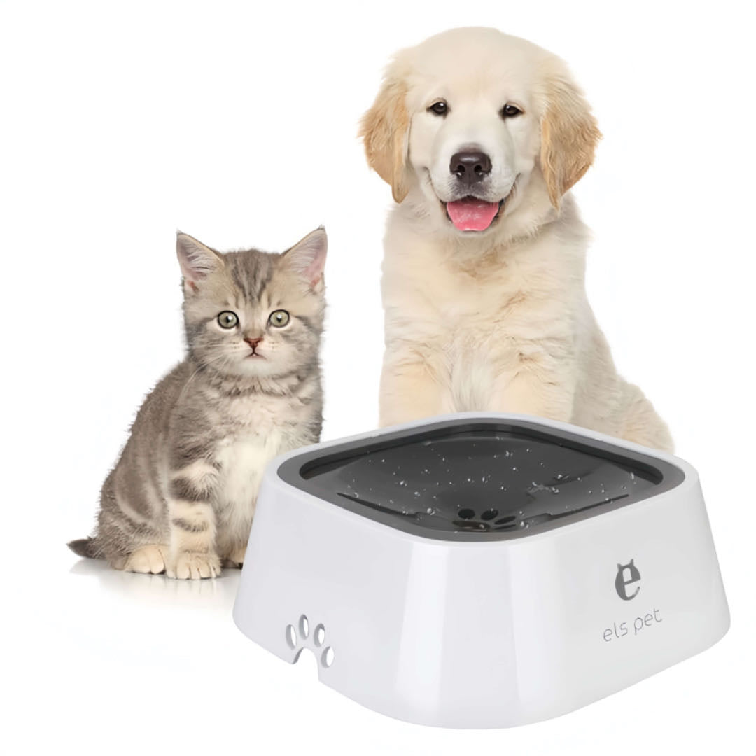 a white colour pet floating water bowl in front of a cat and a dog