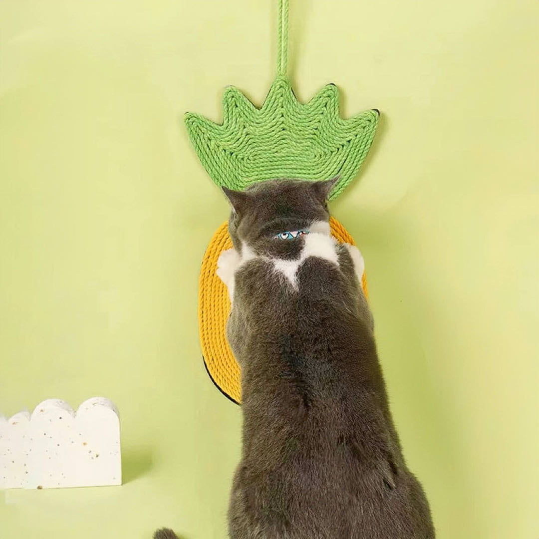 A cat scratching on a pineapple shaped cat sisal scratching pad yellow colour petvibez