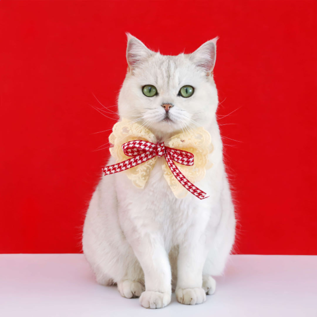 Lace Bow Velvet Pet Collar Red Colour For Cats petvibez