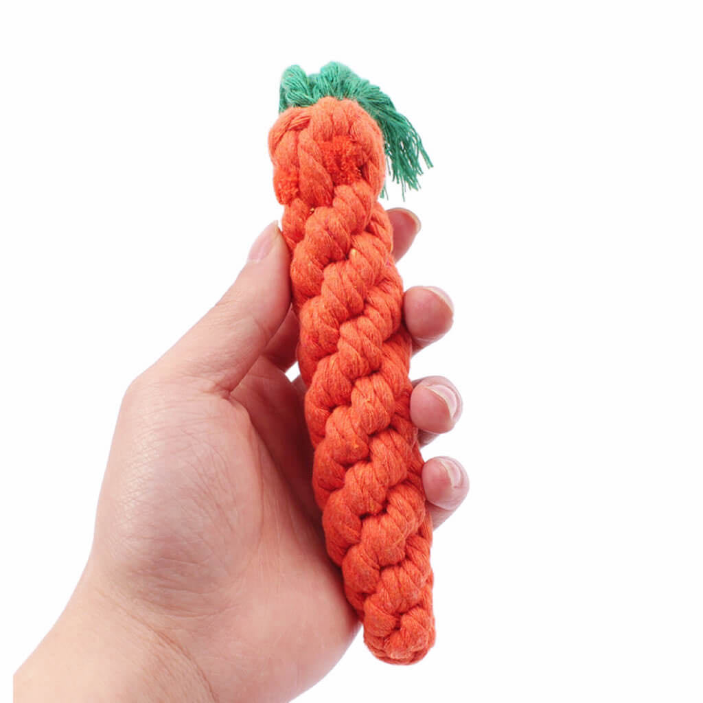 A Hand Holds A Carrot Shaped Dog Chewing Toys