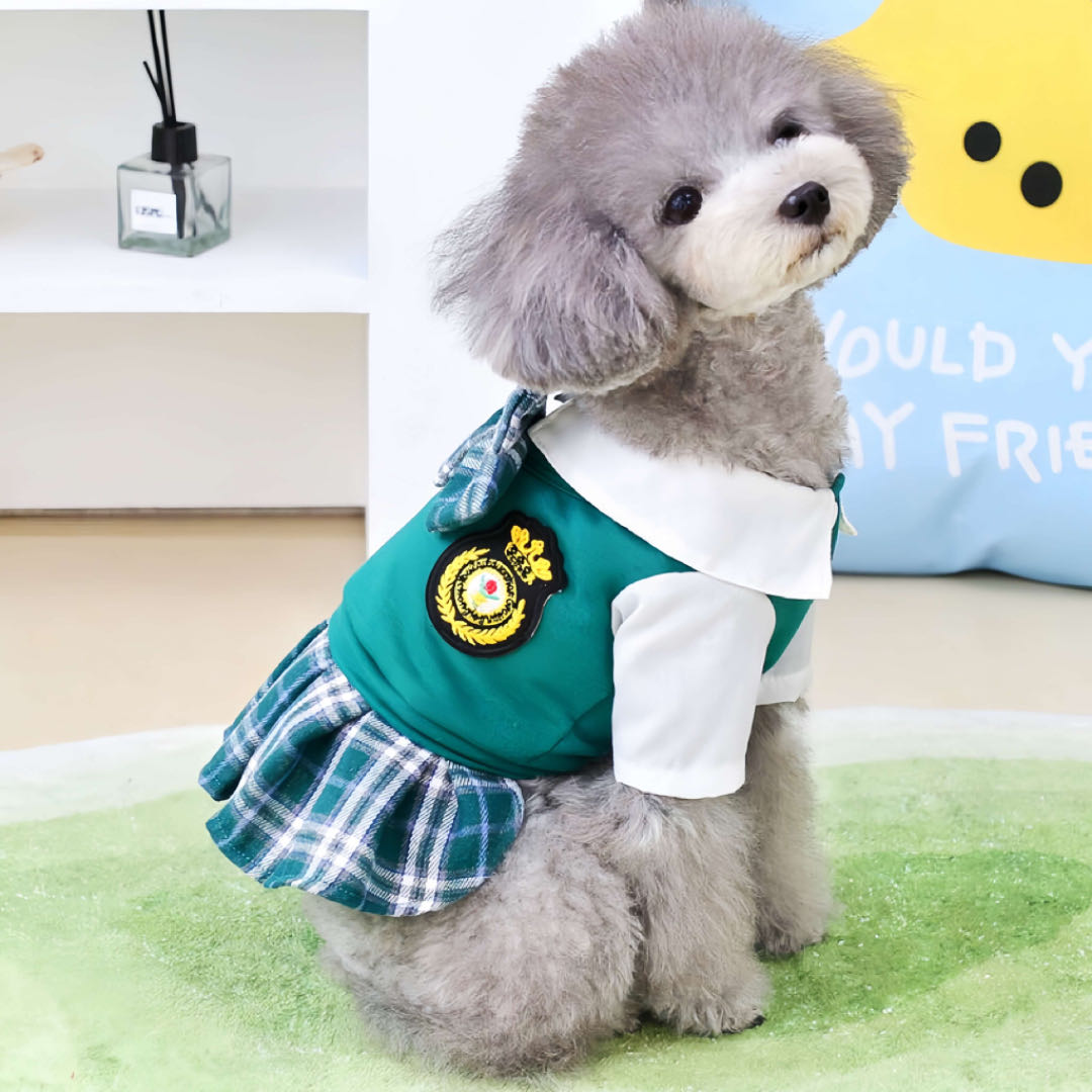 A puppy dog wears a green pet dress with academy style sitting on the floor