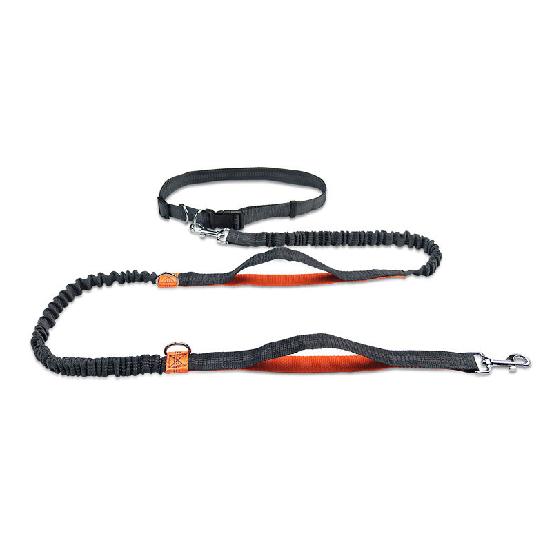 A orange hands free dog waist leash