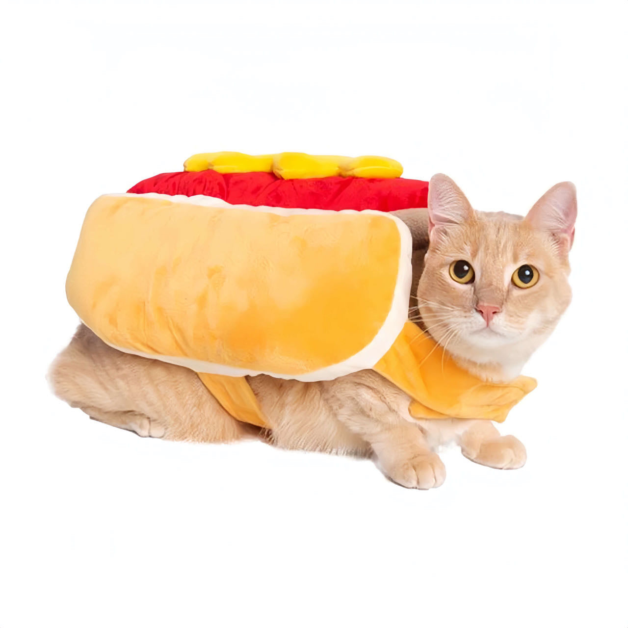 A cat wears a hot dog styled pet costume petvibez