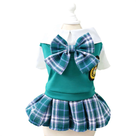 A Green Pet Dress With Academy Style 