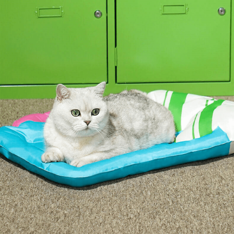 One Cat Lying On A Blue Colour Beer Cup Shaped Pet Cooling Mat