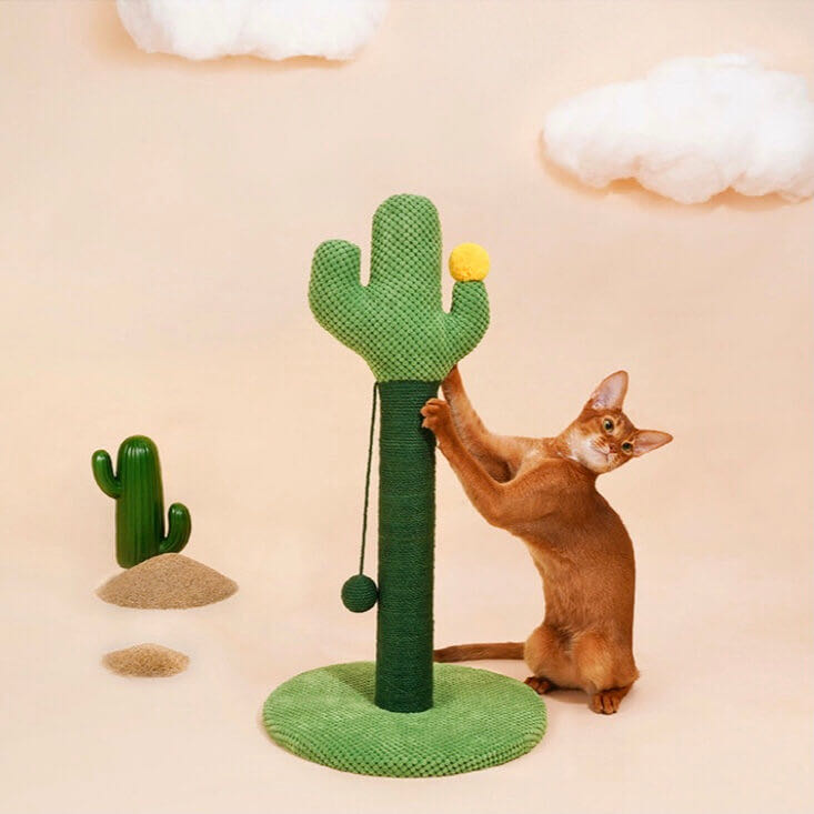 A cat scratching on a green colour cactus shaped sisal scratching post with a hanging fun ball 