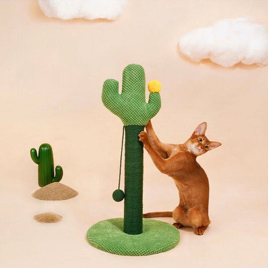 A cat scratching on a green colour cactus shaped sisal scratching post with a hanging fun ball 