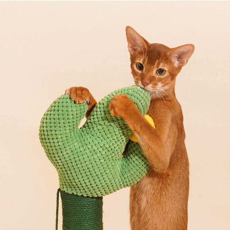 A cat chewing on the top of a green colour cactus shaped sisal scratching post