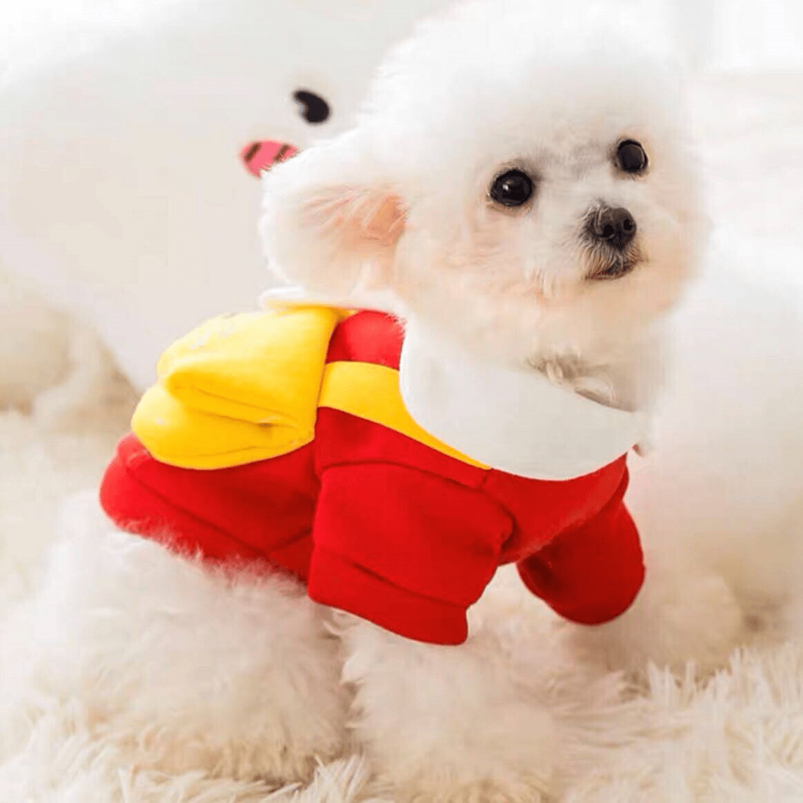 A White Small Dog Wears Cartoon Pet Sweater with Crossbody Bag