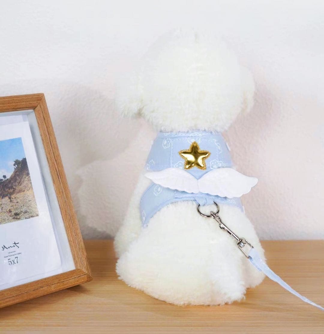 A White Dog Wears A Blue Colour Angel Wing Style Cat Harness And Leash