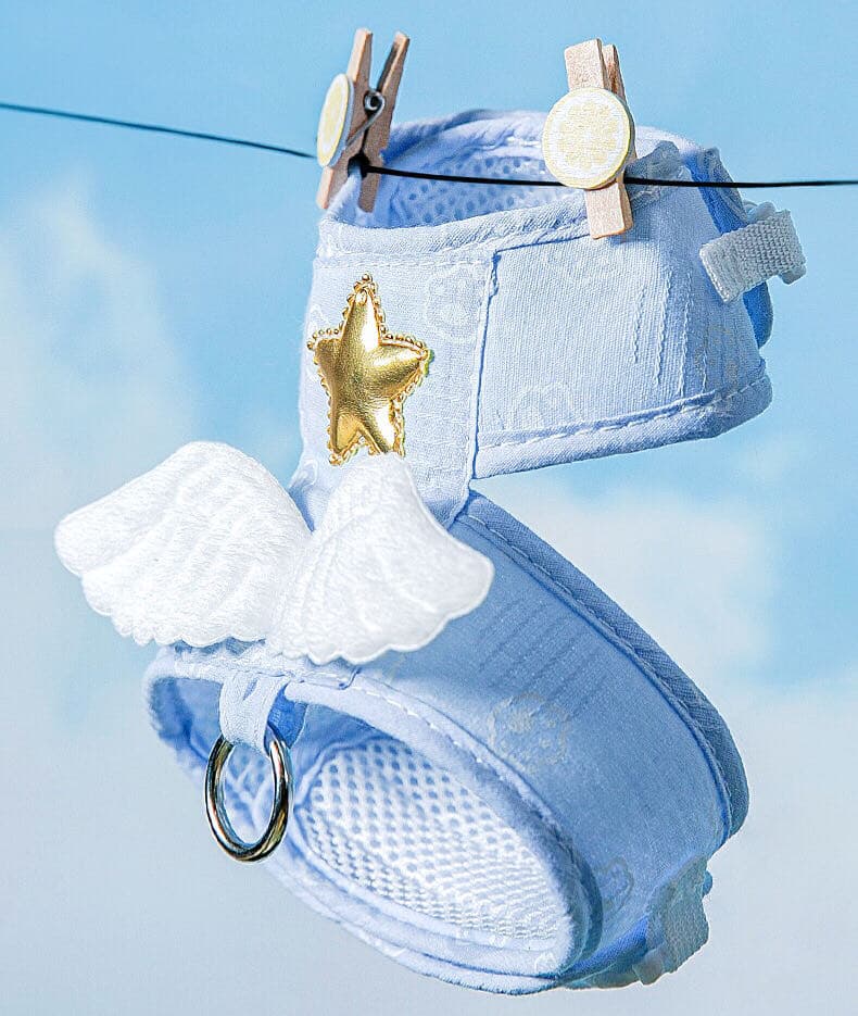 A Blue Colour Angel Wing Style Pet Harness And Leash Hanging On A Clothes Line